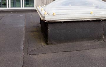 disadvantages of Treyford flat roofs