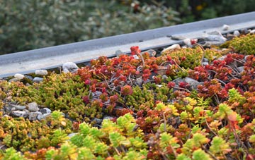 the cost of Treyford green roof installation