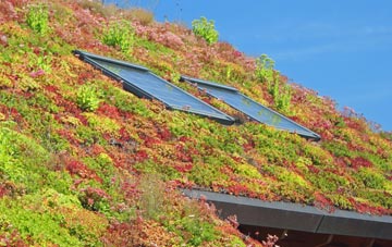 Treyford living roof systems