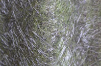 Treyford fibreglass roof work